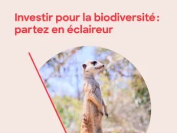 Comment mieux intégrer la biodiversité dans les offres d’investissement ou les stratégies d’allocation d’actifs ?
